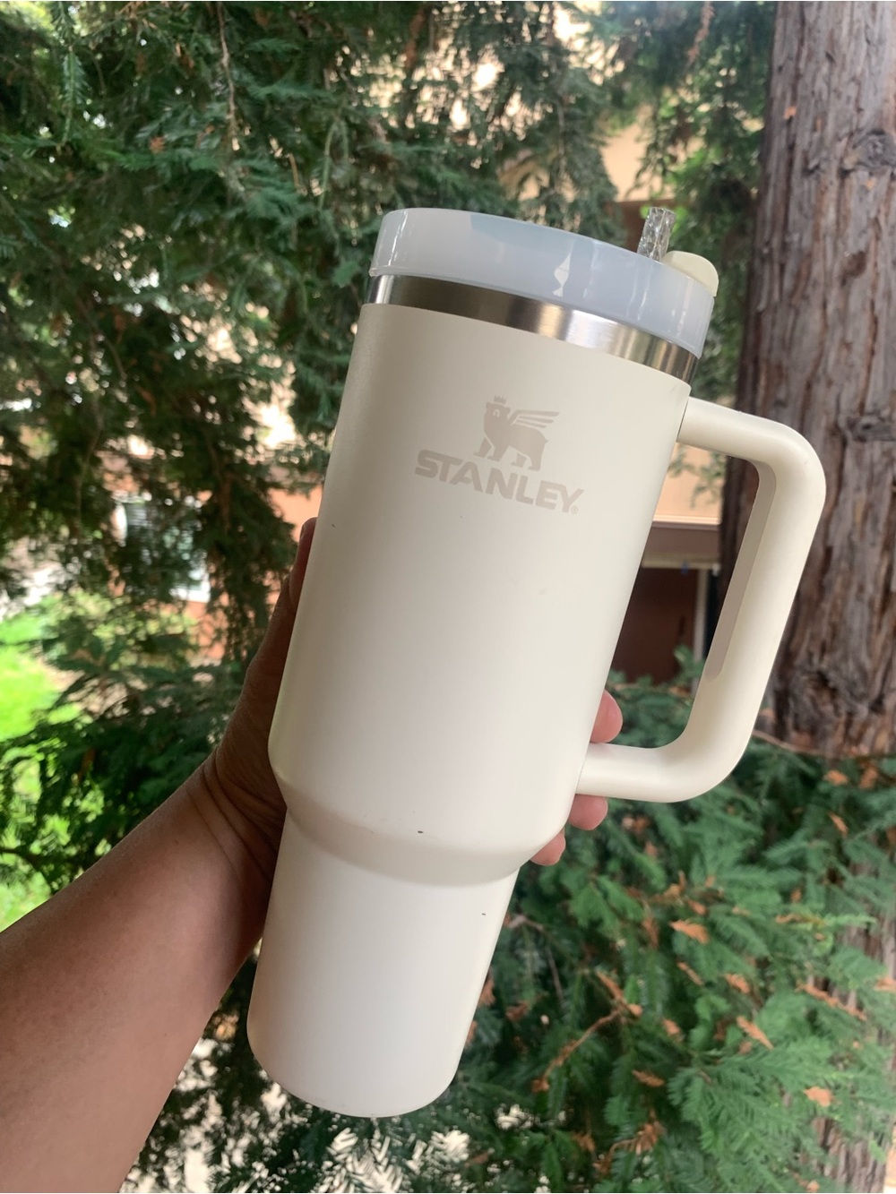 Stanley white travel mug with straw
